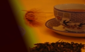 header image 2